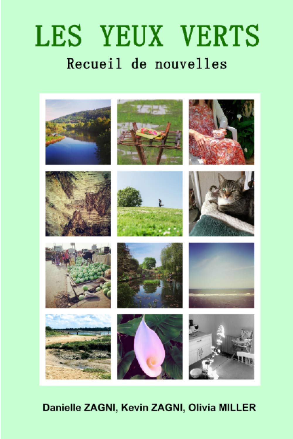 Les yeux verts: Recueil de nouvelles book