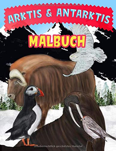 Arktis & Antarktis Malbuch: Tiere der Arktis und Polartiere Malbuch für Kinder Tiptoi & Games