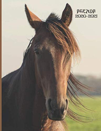 Agenda 2020-2021: Agenda scolaire cheval (Août 2020-Juillet 2021), 1 jour par pages, Collège, Lycée, Bureau, Organisateur hebdomadaire et mensuel, ... Couverture souple, 19 x 25 cm, 350 pages. book