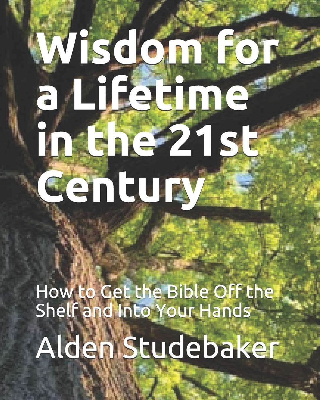 Wisdom for a Lifetime in the 21st Century: How to Get the Bible Off the Shelf and Into Your Hands Religion & Esotericism