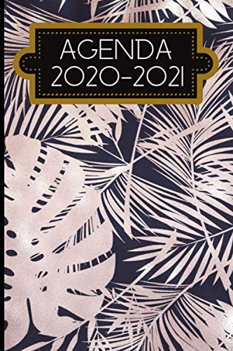 Agenda 2020 - 2021: Agenda journalier et mensuel 2020 - 2021, scolaire, professionnel, septembre 2020 à Août 2021 book