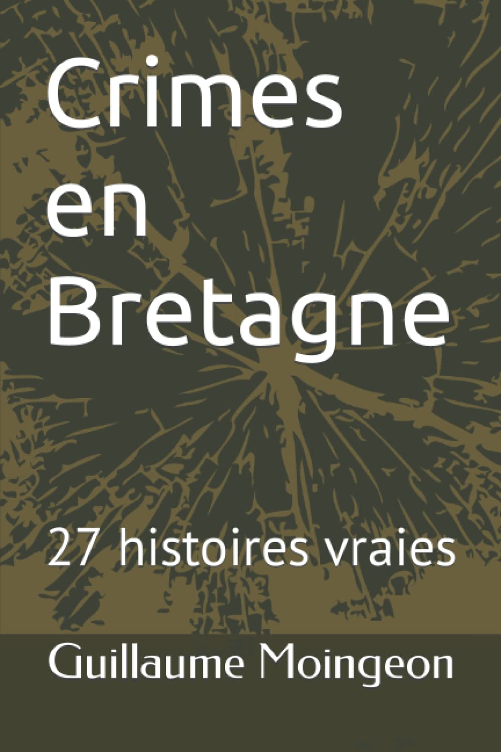 Crimes en Bretagne: 27 histoires vraies Politics & Society
