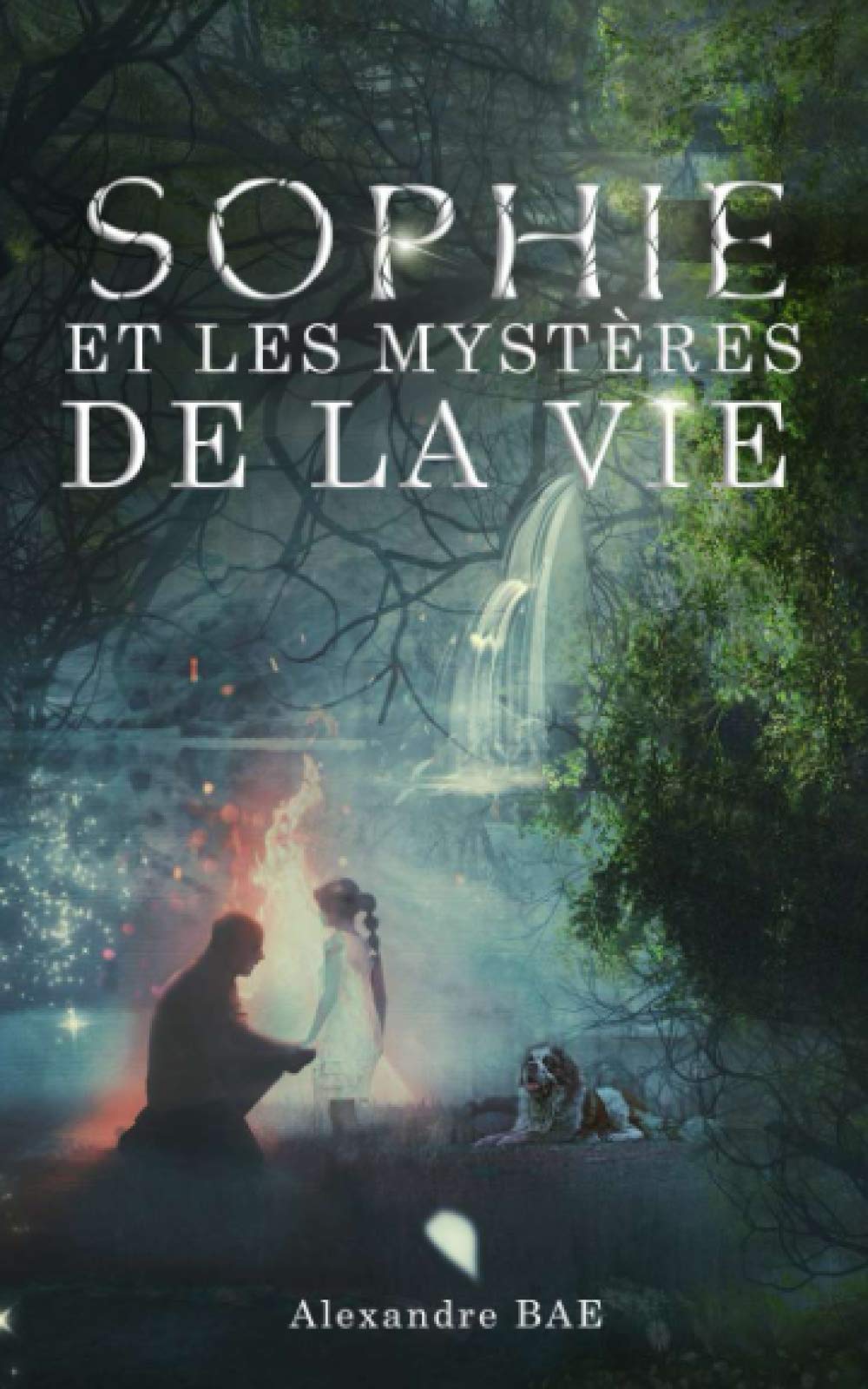 Sophie et les mystères de la Vie book