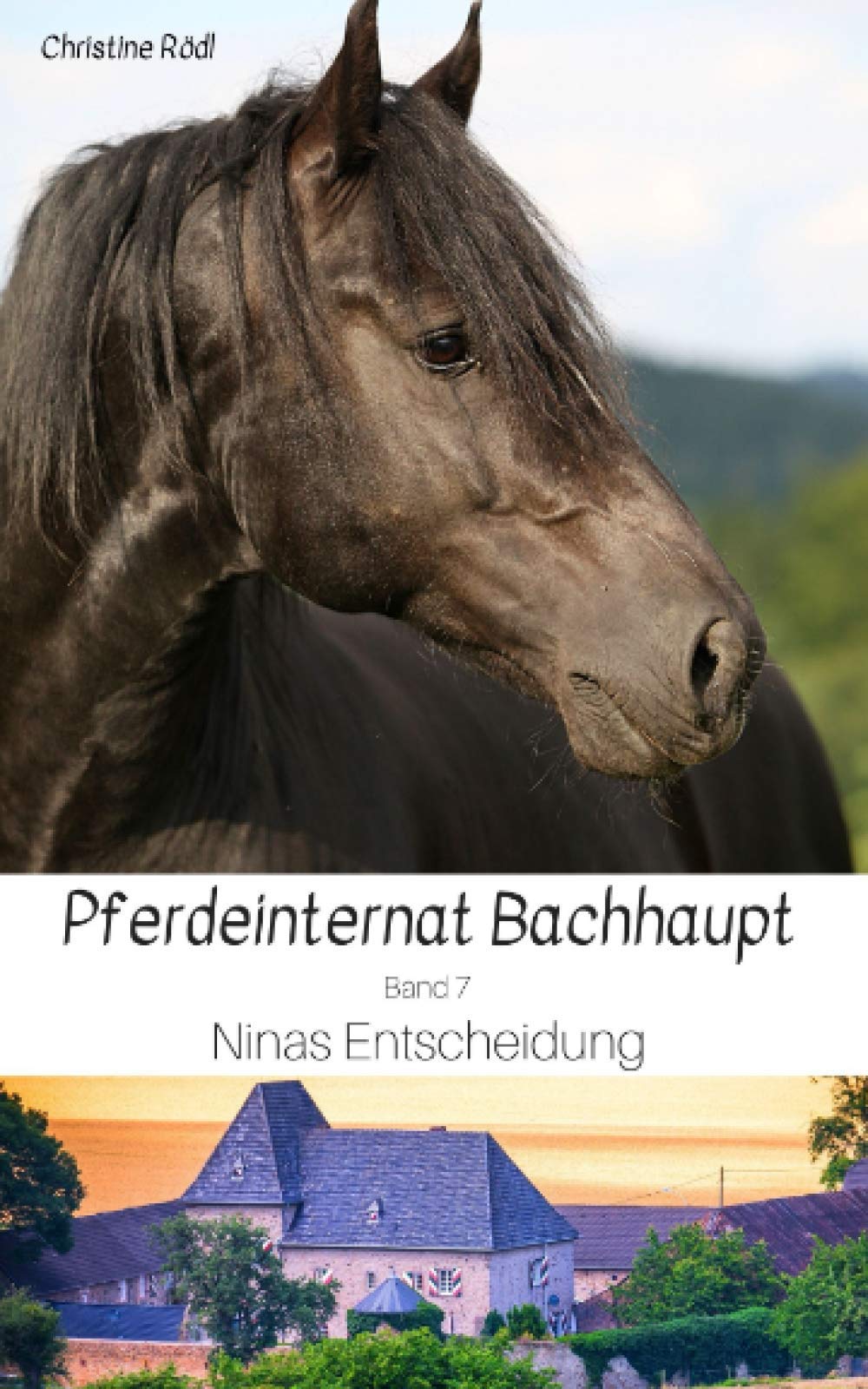 Ninas Entscheidung (Pferdeinternat Bachhaupt, Band 7) Pets