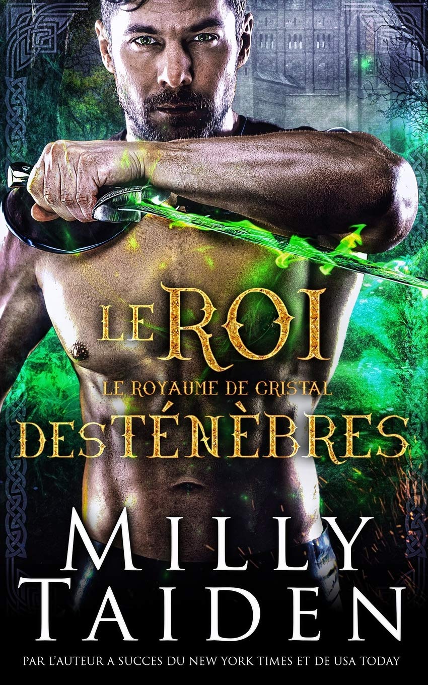 Le Roi Des Tenebres: Une Romance Paranormale book
