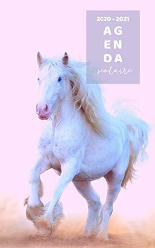 Agenda 2020 2021: Agenda Scolaire 2020 2021: Agenda semainier et journalier pour Filles & Garçons | Emploi du temps | Calendrier | Objectifs | Agenda ... Lycée École Primaire Étudiant | Thème cheval book