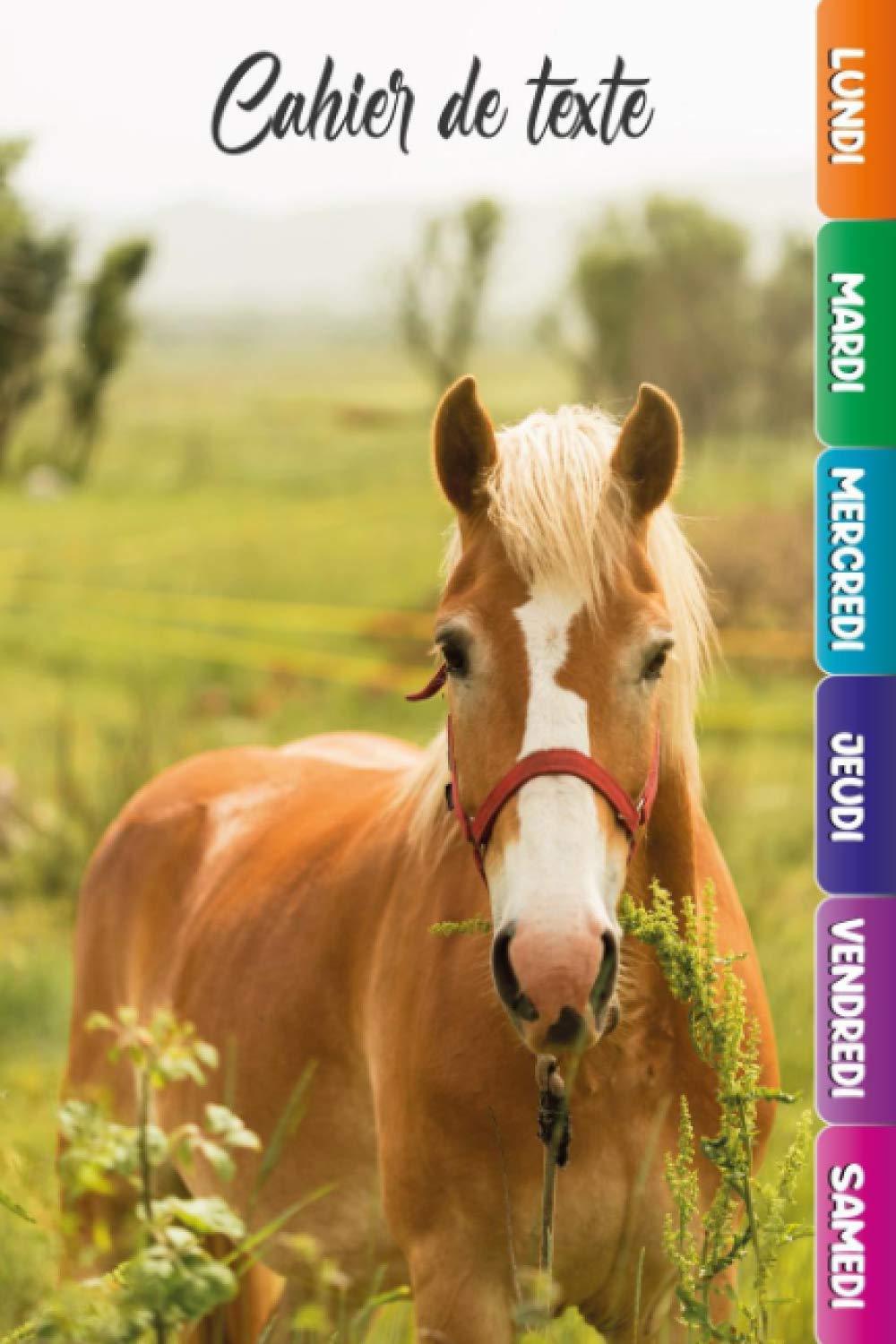 Cahier de texte cheval: avec jours, pour garçon et fille book