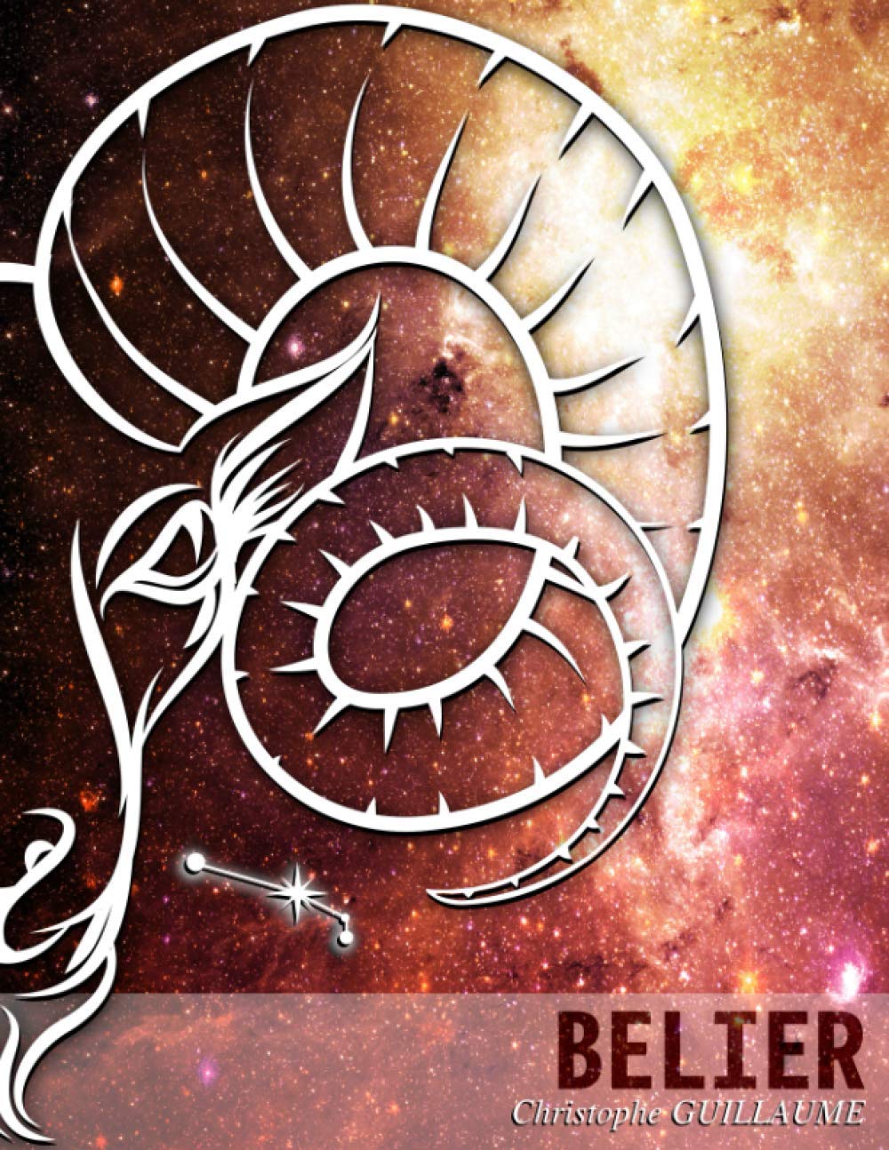 Carnet Astrologique à remplir : Bélier: Noter, méditer, s'inspirer (Les Carnets du Zodiaque, Band 1) Religion & Esotericism