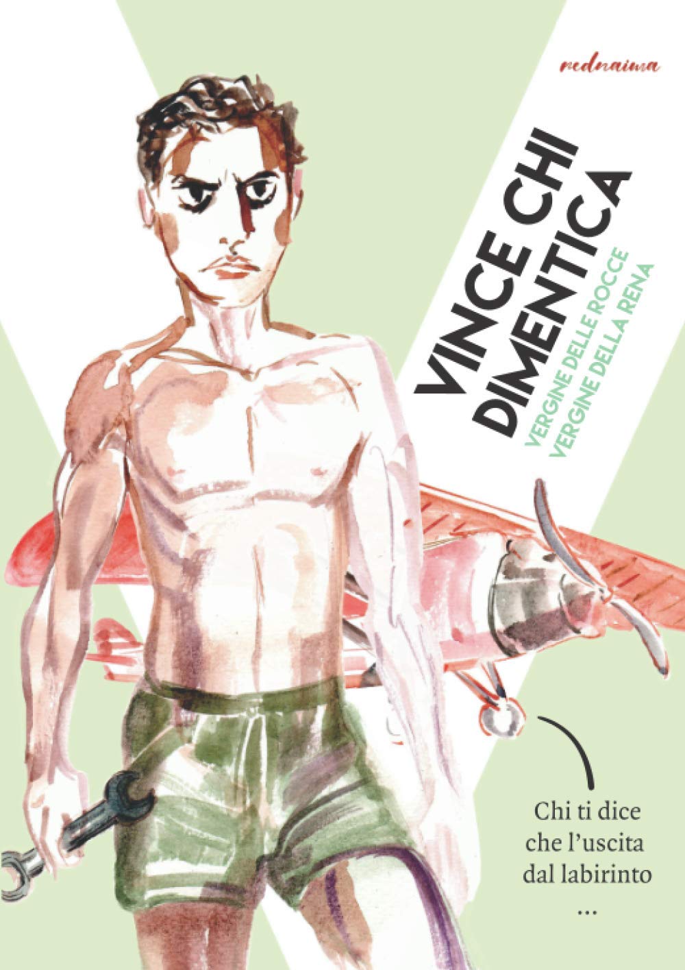 Vince Chi Dimentica: Vergine Delle Rocce, Vergine Della Rena book