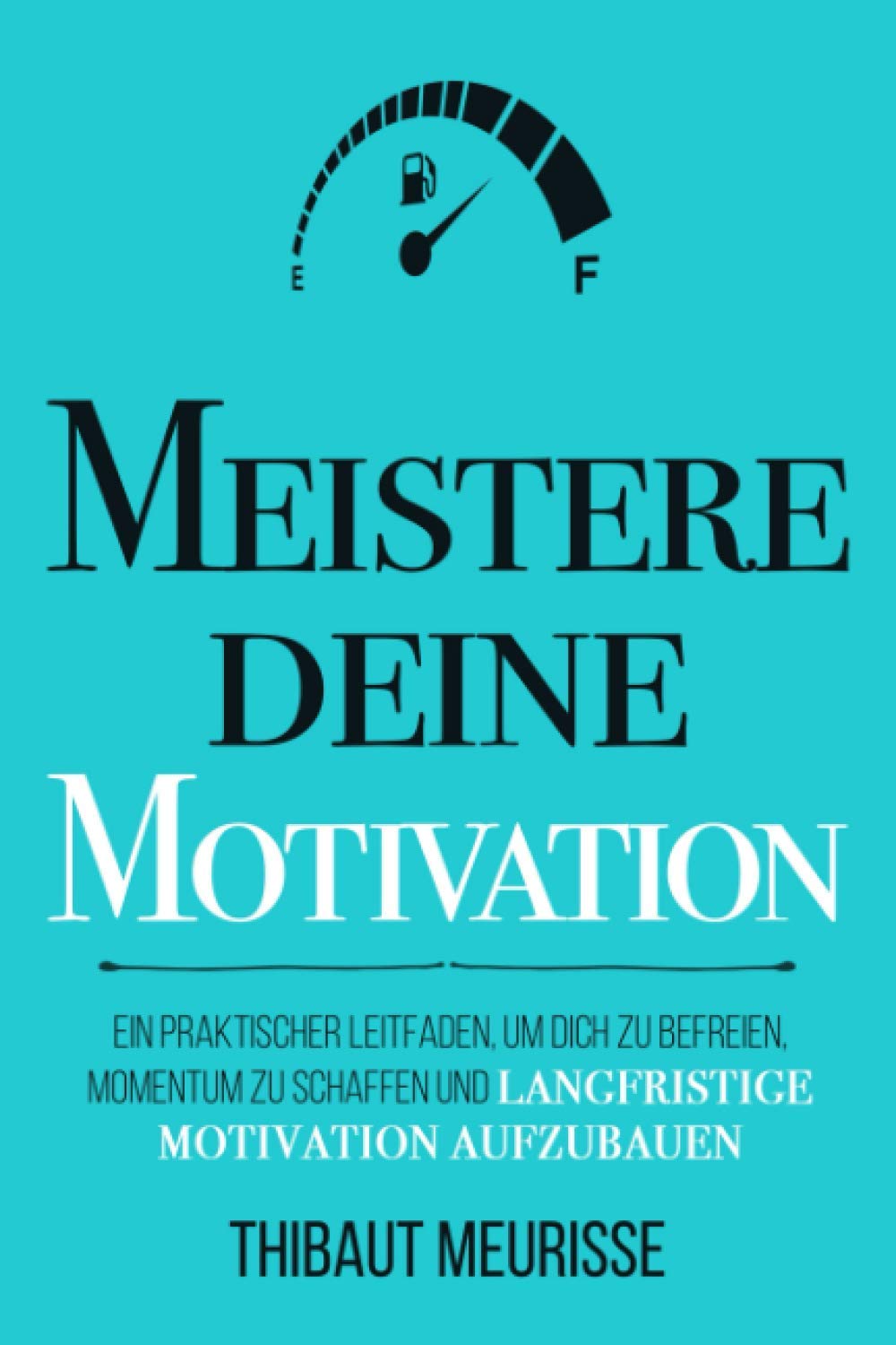 Meistere Deine Motivation: Ein praktischer Leitfaden, um dich zu befreien, Momentum zu schaffen und langfristige Motivation aufzubauen book