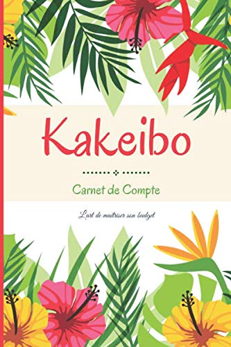 Kakeibo carnet de compte: Nouvelle version - agenda pour tenir son budget mois par mois - non daté Business, Finance & Career
