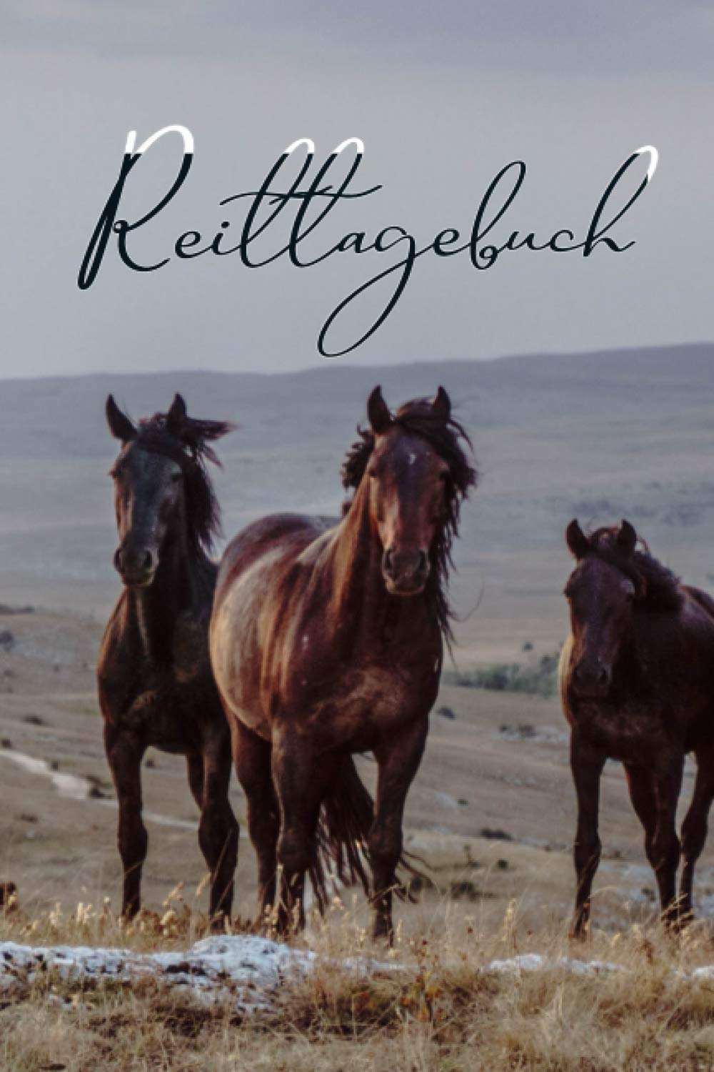 Reittagebuch: Das ideale Buch für dein Pferd, zum Eintragen und ausfüllen für deine Reitstunden Trainingsbuch für Pferdebesitzer Pets