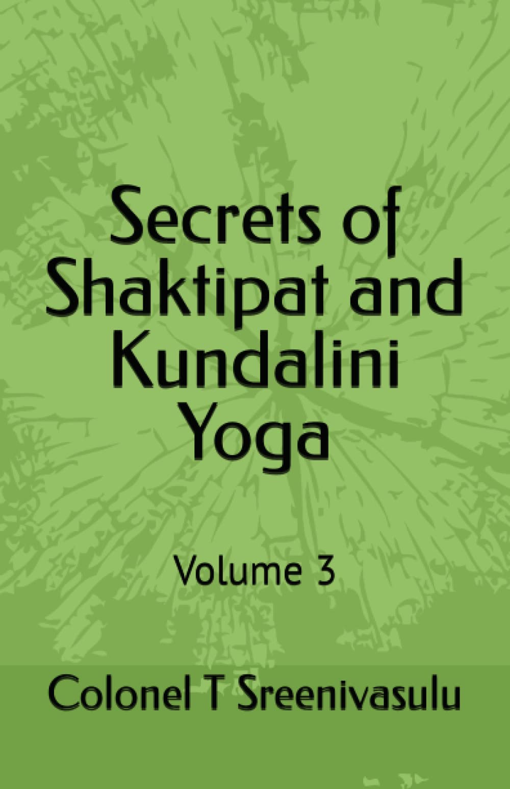 Secrets of Shaktipat and Kundalini Yoga: Volume 3 Lifestyle