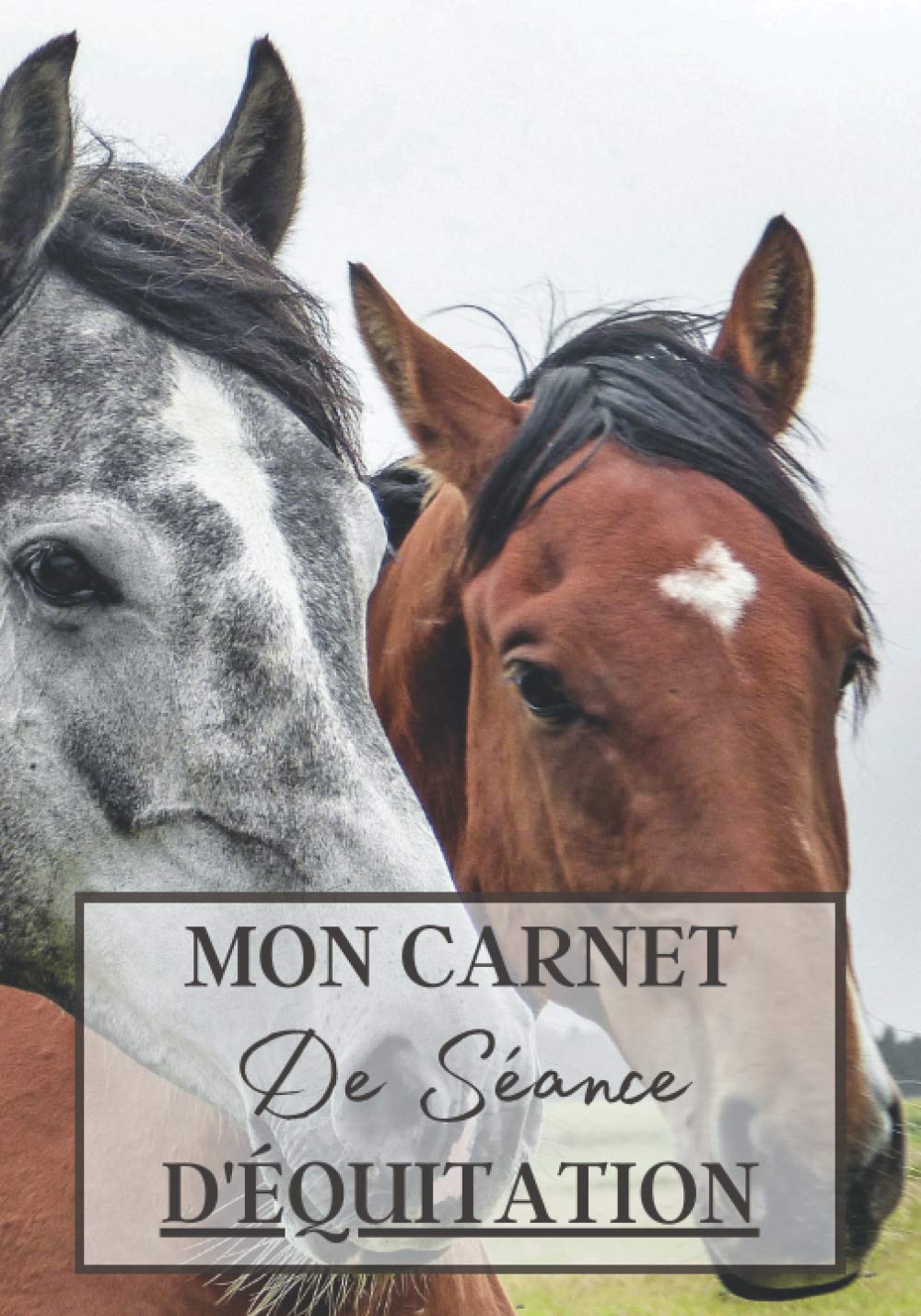 Mon Carnet de Séance d'Équitation: Cahier à remplir pour les sessions d'équitation avec cheval ou poney. Un carnet de suivi d'entrainements et de ... passionnés de chevaux | 100 séances à noter book