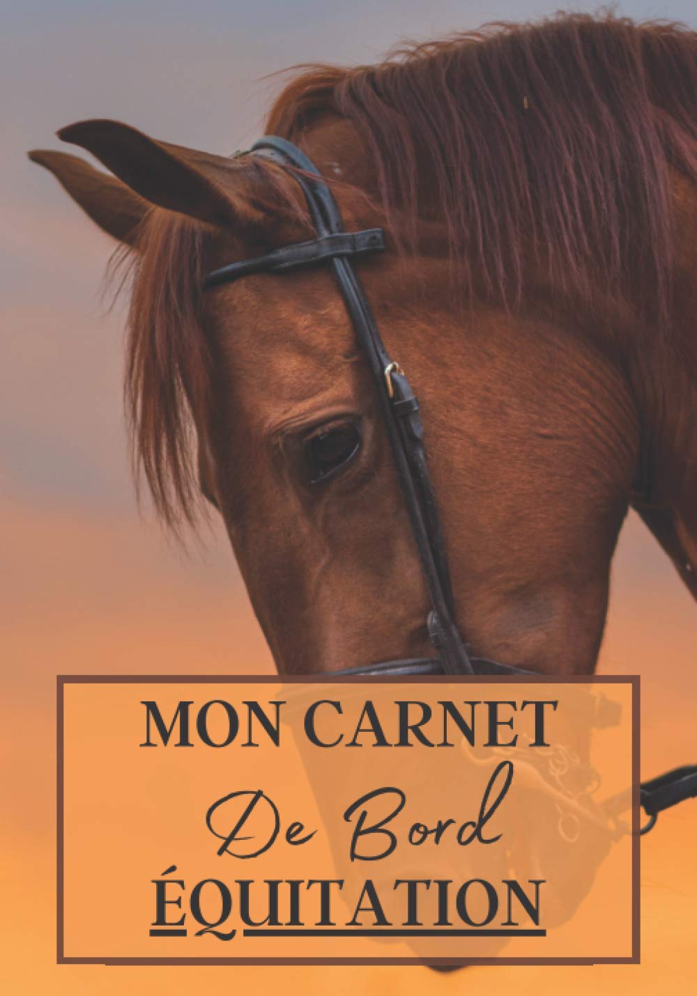 Mon Carnet de Bord Équitation: Cahier à remplir pour les sessions d'équitation avec cheval ou poney. Un carnet de suivi d'entrainements et de leçons ... passionnés de chevaux | 100 séances à noter book