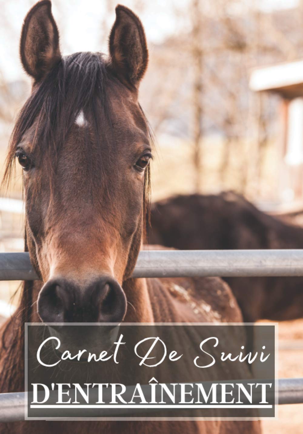 Carnet de Suivi d'Entraînement: Cahier à remplir pour les sessions d'équitation avec cheval ou poney. Un carnet de suivi d'entrainements et de leçons ... passionnés de chevaux | 100 séances à noter book