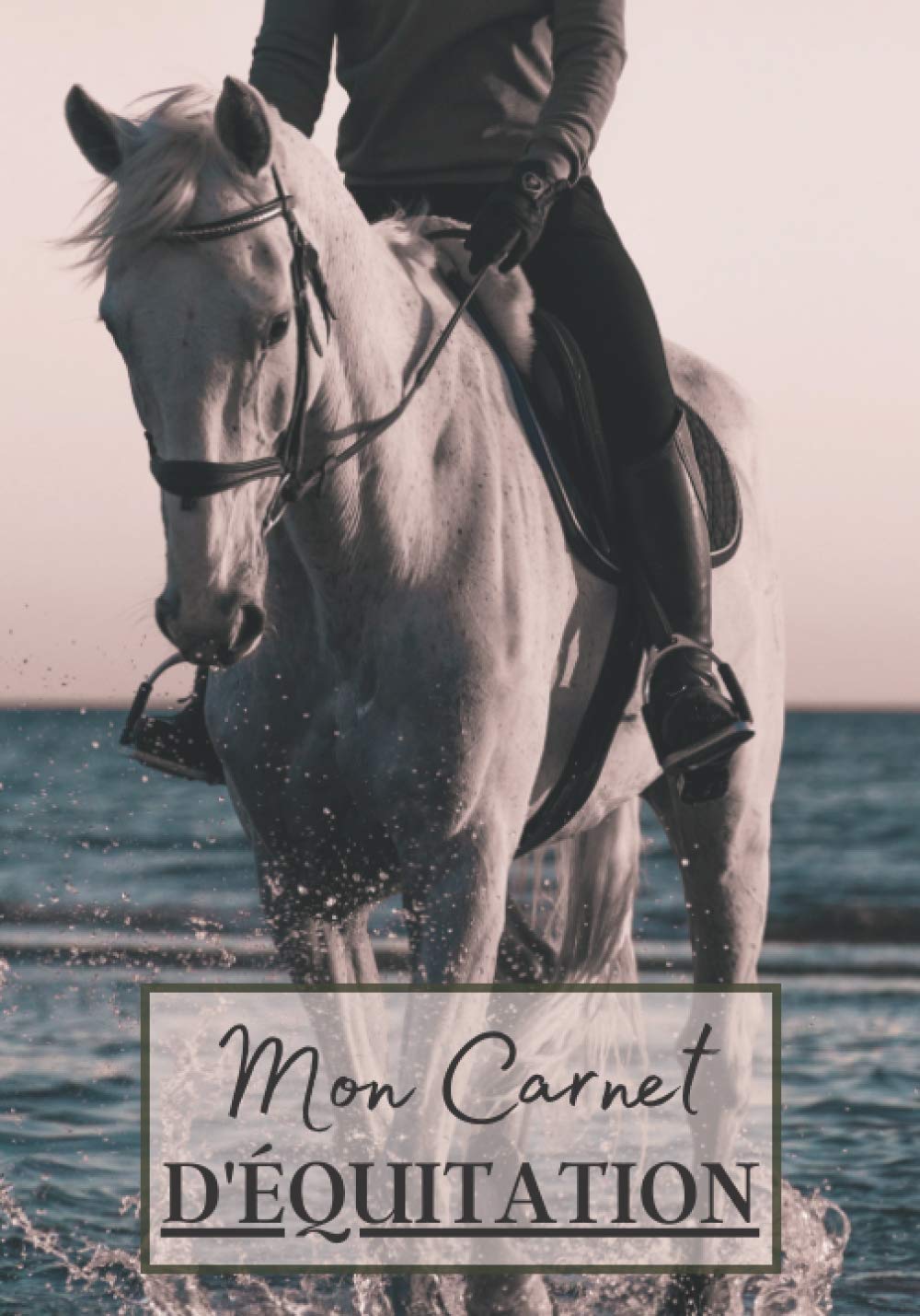 Mon Carnet d'Équitation: Cahier à remplir pour les sessions d'équitation avec cheval ou poney. Un carnet de suivi d'entrainements et de leçons pour les passionnés de chevaux | 100 séances à noter book