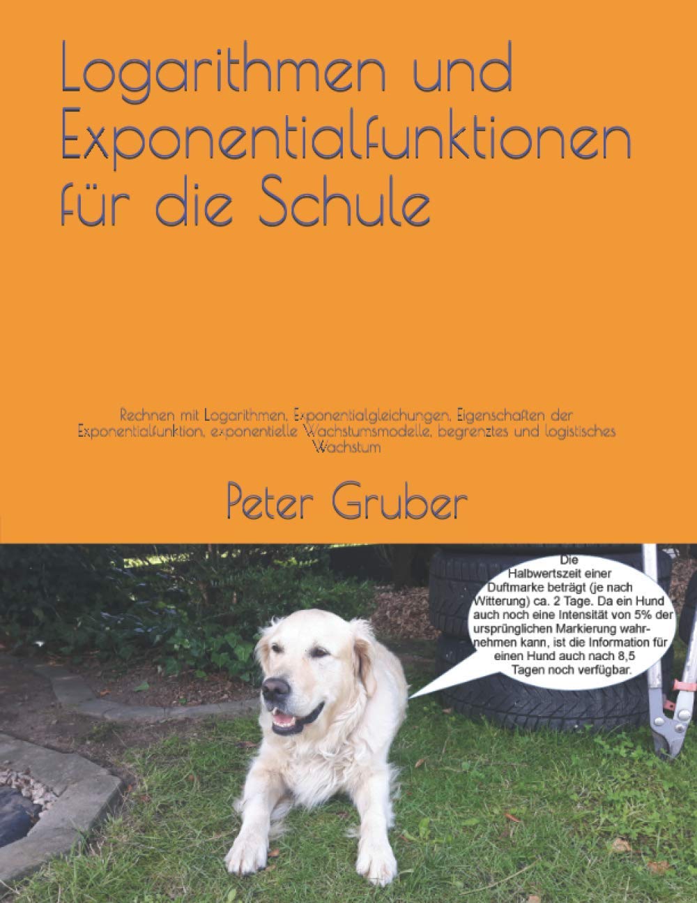 Logarithmen und Exponentialfunktionen für die Schule: Rechnen mit Logarithmen, Exponentialgleichungen, Eigenschaften der Exponentialfunktion, ... begrenztes und logistisches Wachstum Non-fiction