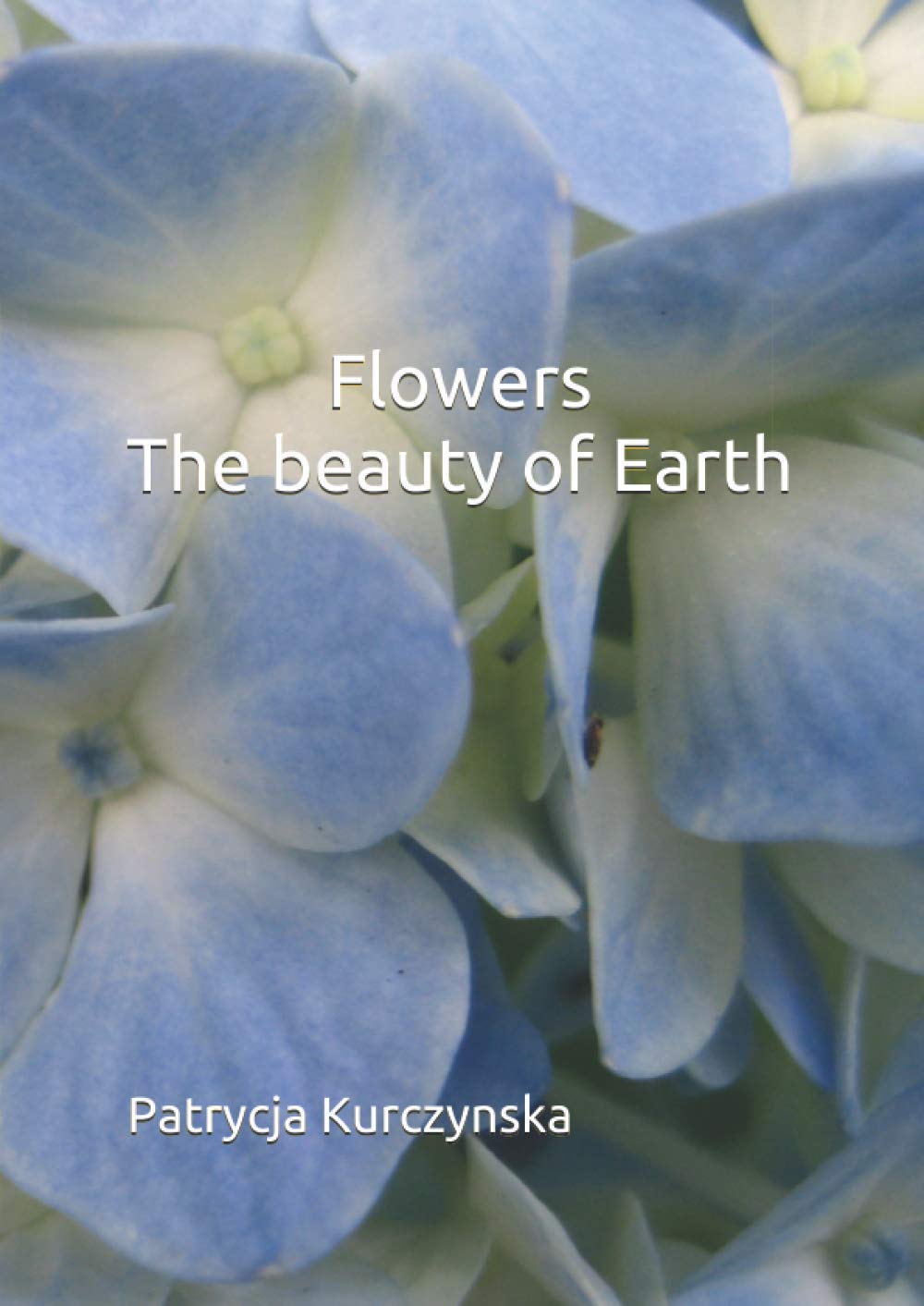 Flowers The beauty of Earth Contemporary literature