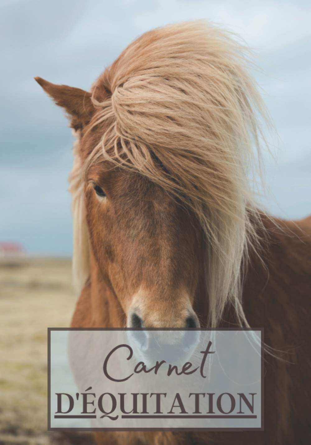 Carnet d'Équitation: Cahier à remplir pour les sessions d'équitation avec cheval ou poney. Un carnet de suivi d'entrainements et de leçons pour les passionnés de chevaux | 100 séances à noter book
