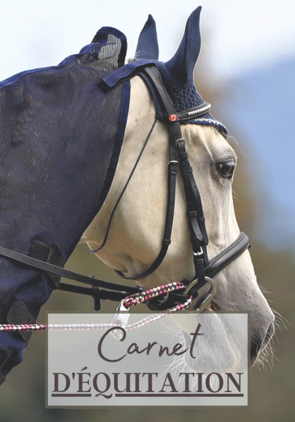 Carnet d'Équitation: Cahier à remplir pour les sessions d'équitation avec cheval ou poney. Un carnet de suivi d'entrainements et de leçons pour les passionnés de chevaux | 100 séances à noter book