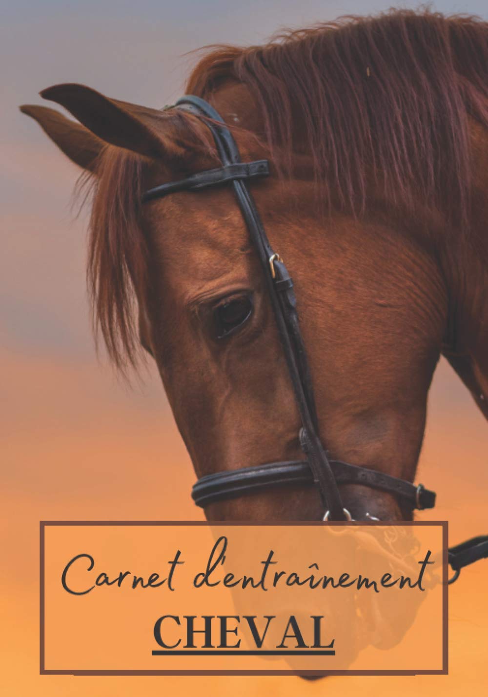 Carnet d'entraînement Cheval: Cahier à remplir pour les sessions d'équitation avec cheval ou poney. Un carnet de suivi d'entrainements et de leçons pour les passionnés de chevaux | 100 séances à noter book