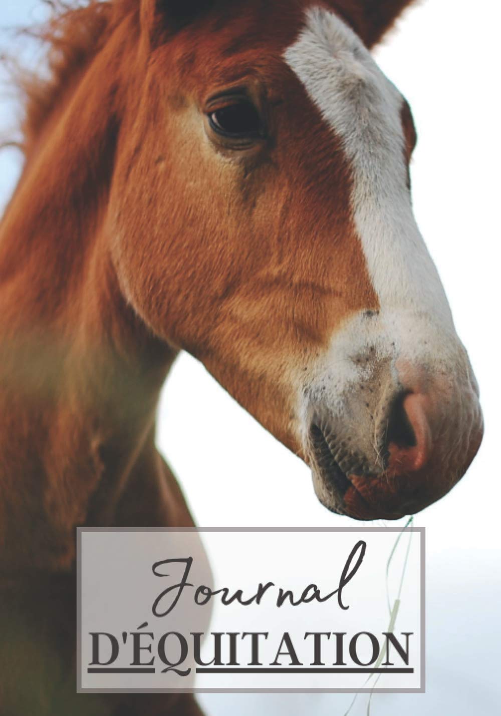 Journal d'Équitation: Cahier à remplir pour les sessions d'équitation avec cheval ou poney. Un carnet de suivi d'entrainements et de leçons pour les passionnés de chevaux | 100 séances à noter book