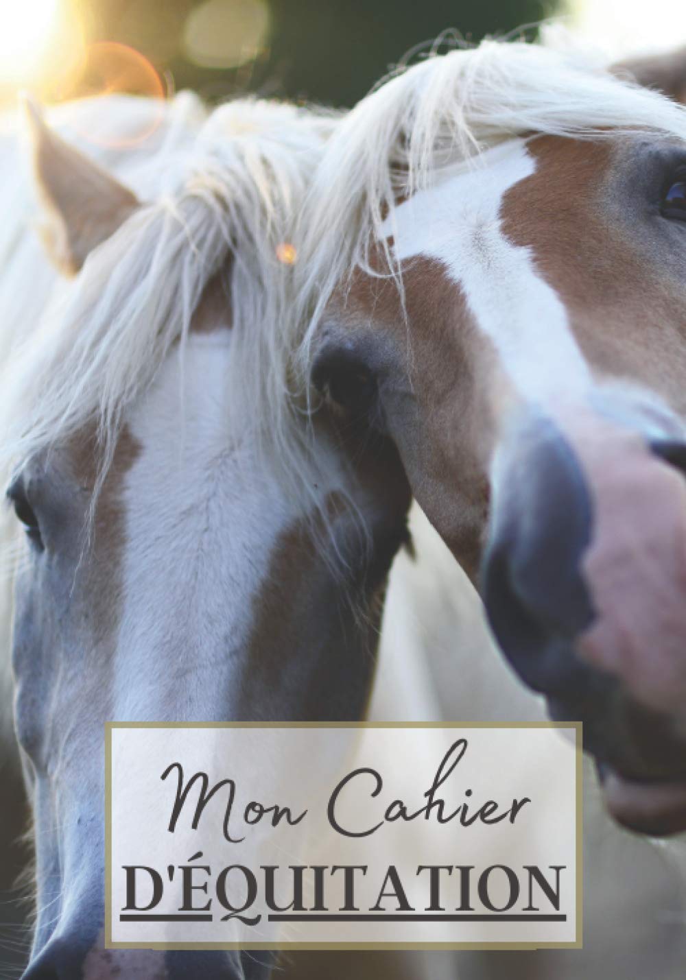 Mon Cahier d'Équitation: Cahier à remplir pour les sessions d'équitation avec cheval ou poney. Un carnet de suivi d'entrainements et de leçons pour les passionnés de chevaux | 100 séances à noter book