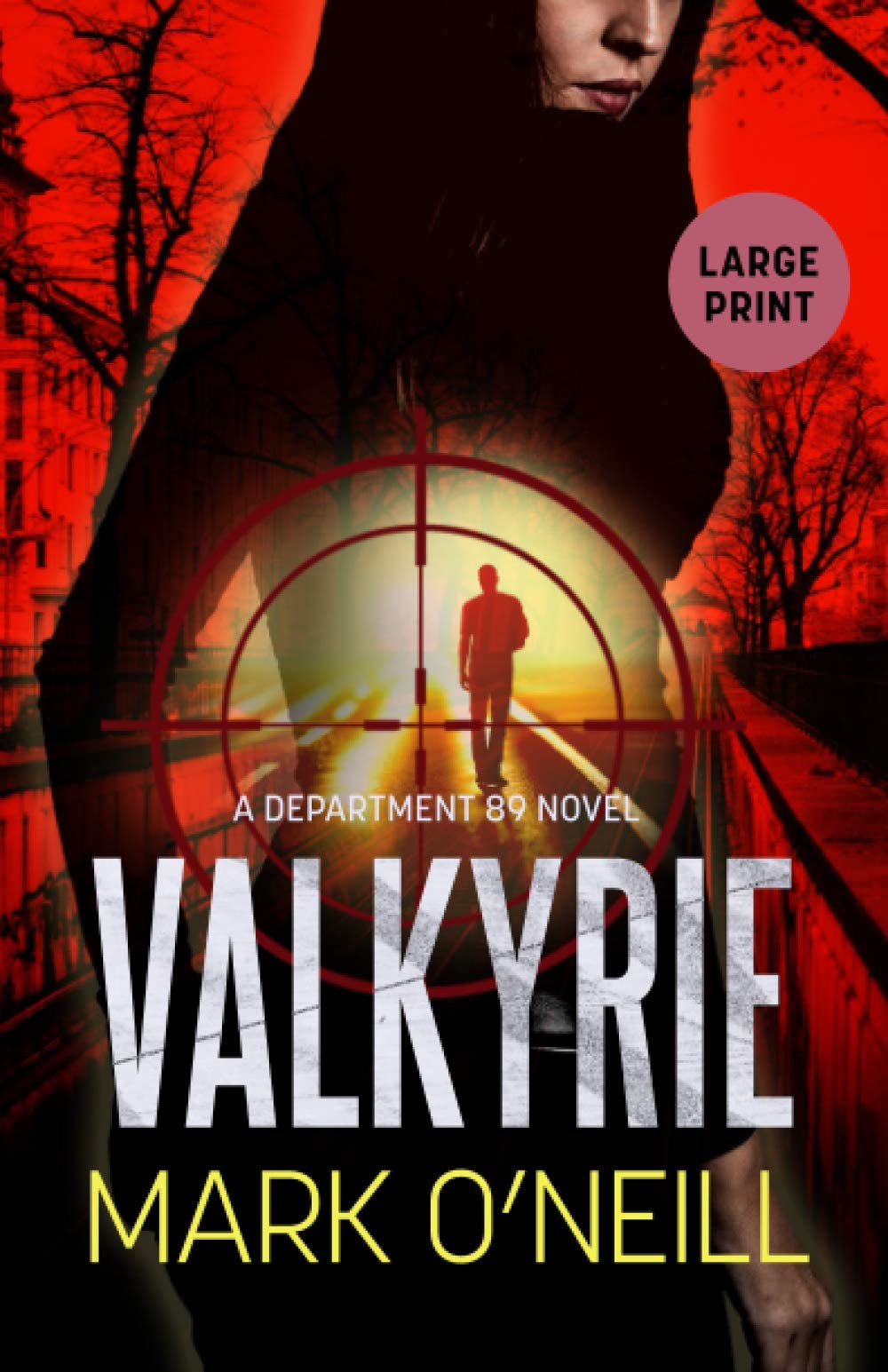 Valkyrie: History Is a Nightmare Which You Can't Wake Up From (Department 89 Large Print, Band 8) Action & Adventure
