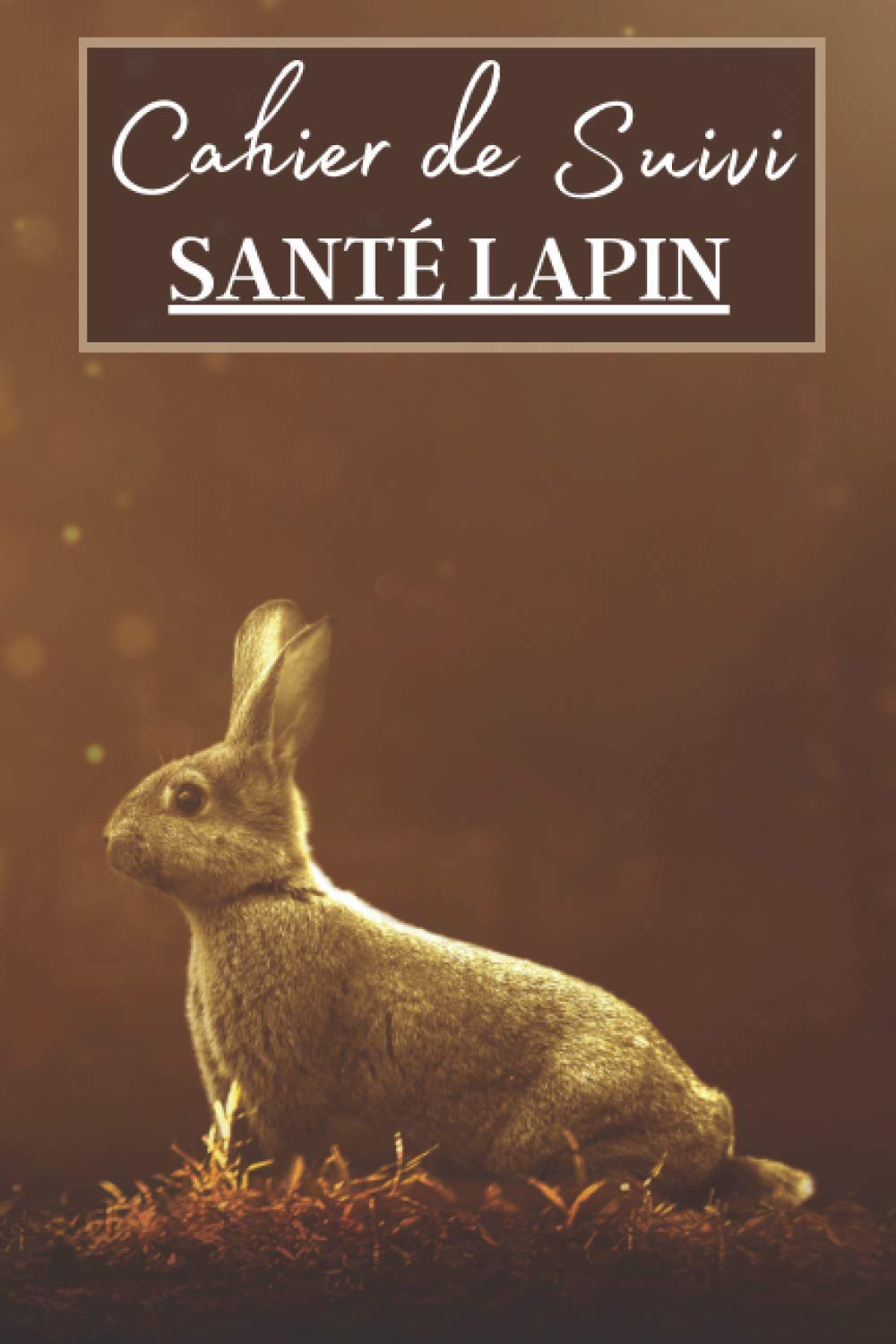 Cahier de Suivi Santé Lapin: Carnet de sante à remplir pour votre lapin. Notez les vaccins, la nourriture utilisé mais aussi l'évolution de son poids, sa taille etc | + 100 pages book