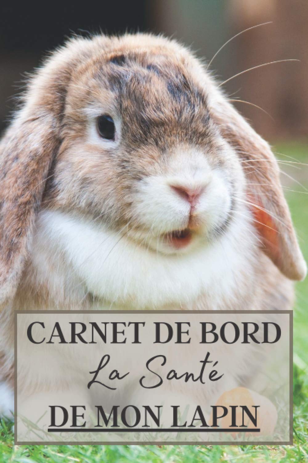 Carnet de bord La Santé de Mon Lapin: Carnet de sante à remplir pour votre lapin. Notez les vaccins, la nourriture utilisé mais aussi l'évolution de son poids, sa taille etc | + 100 pages book