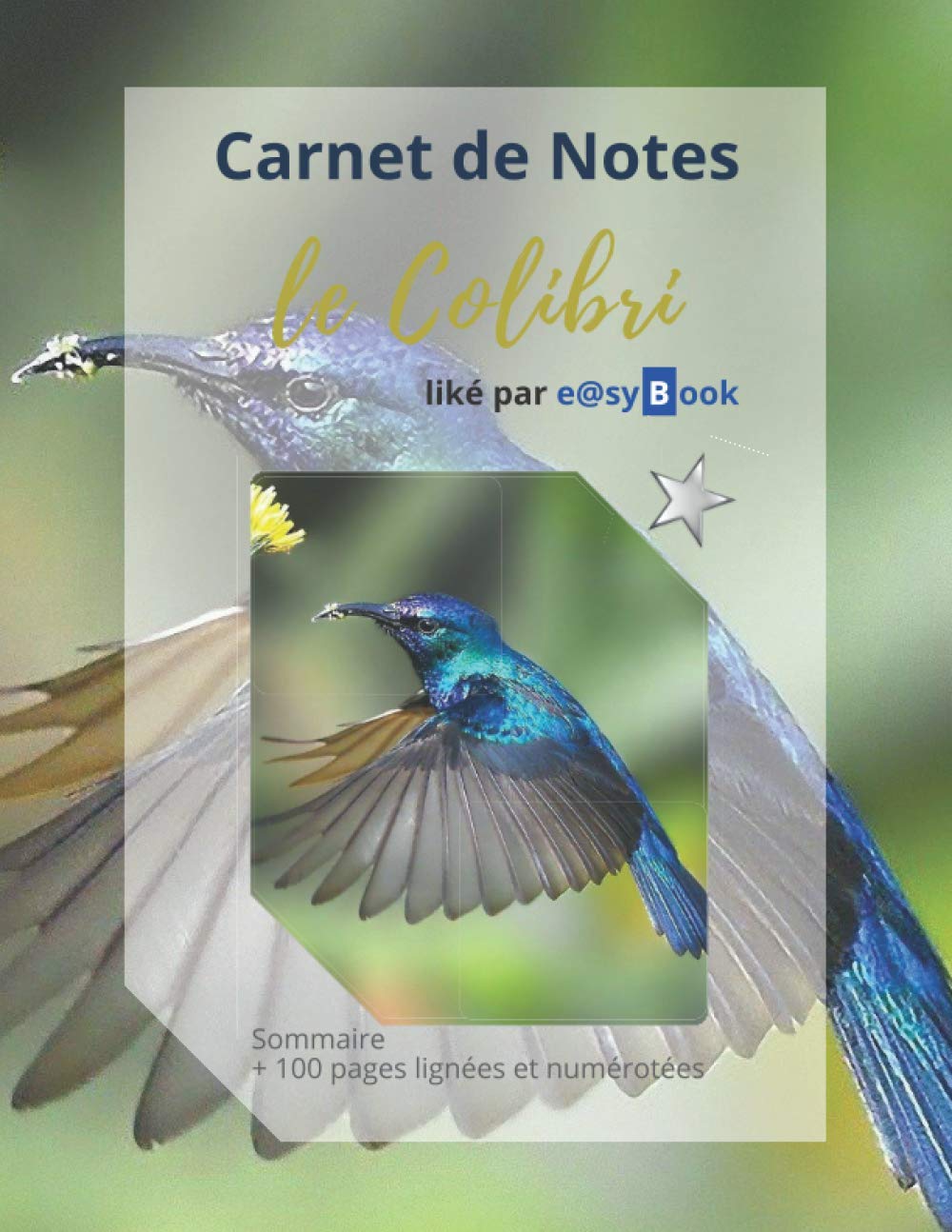 Carnet de Notes - le Colibri: : Sommaire + 100 pages lignées et numérotées book
