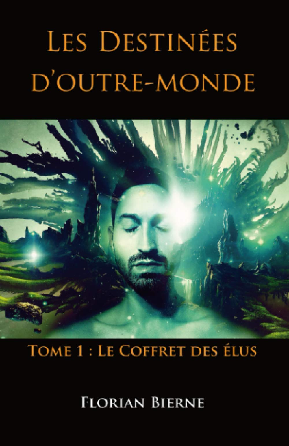 Les Destinées d'outre-monde: Tome 1 : Le Coffret des élus book