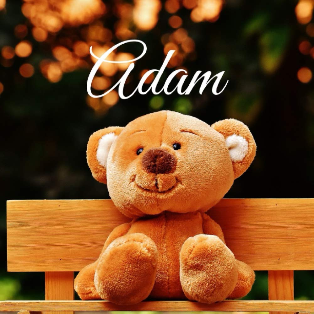 Adam: Souvenirs de naissance - album à compléter et personnaliser avec vos photos - format 21X21 book