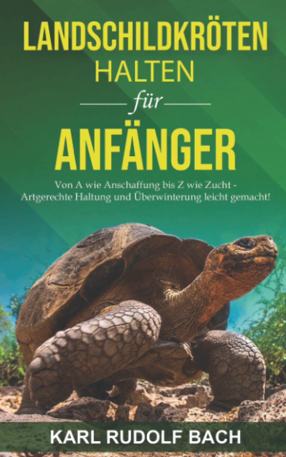 Landschildkröten halten für Anfänger: Von A wie Anschaffung bis Z wie Zucht – artgerechte Haltung und Überwinterung leicht gemacht Architecture