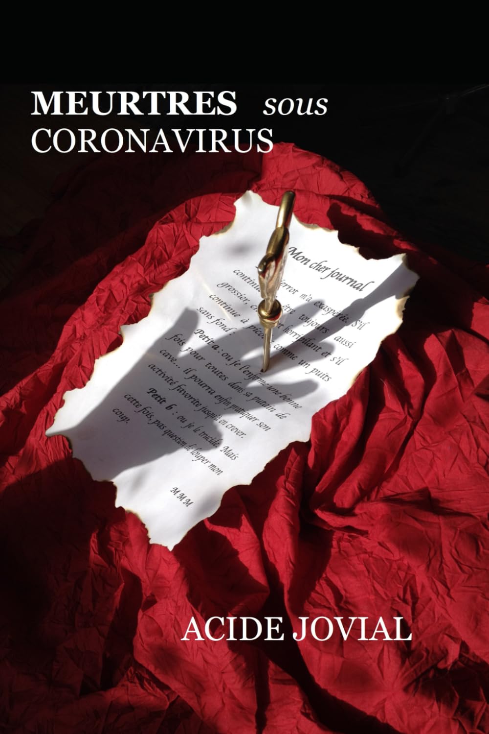 Meurtres sous Coronavirus: Papys boum Contemporary literature