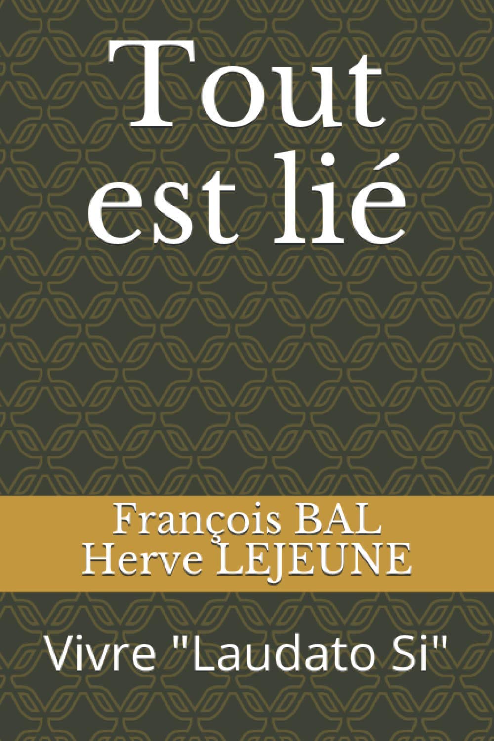 Tout est lié: Vivre Laudato Si Religion & Esotericism