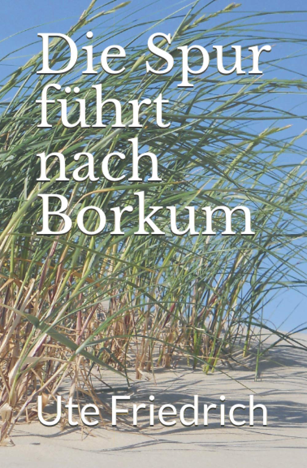 Die Spur führt nach Borkum (Borkumkrimis) Contemporary literature