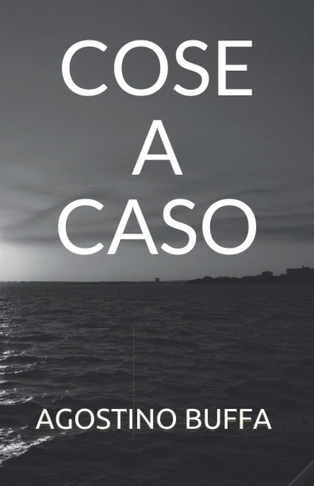 COSE A CASO: SCRITTE DA UNA PERSONA A CASO book