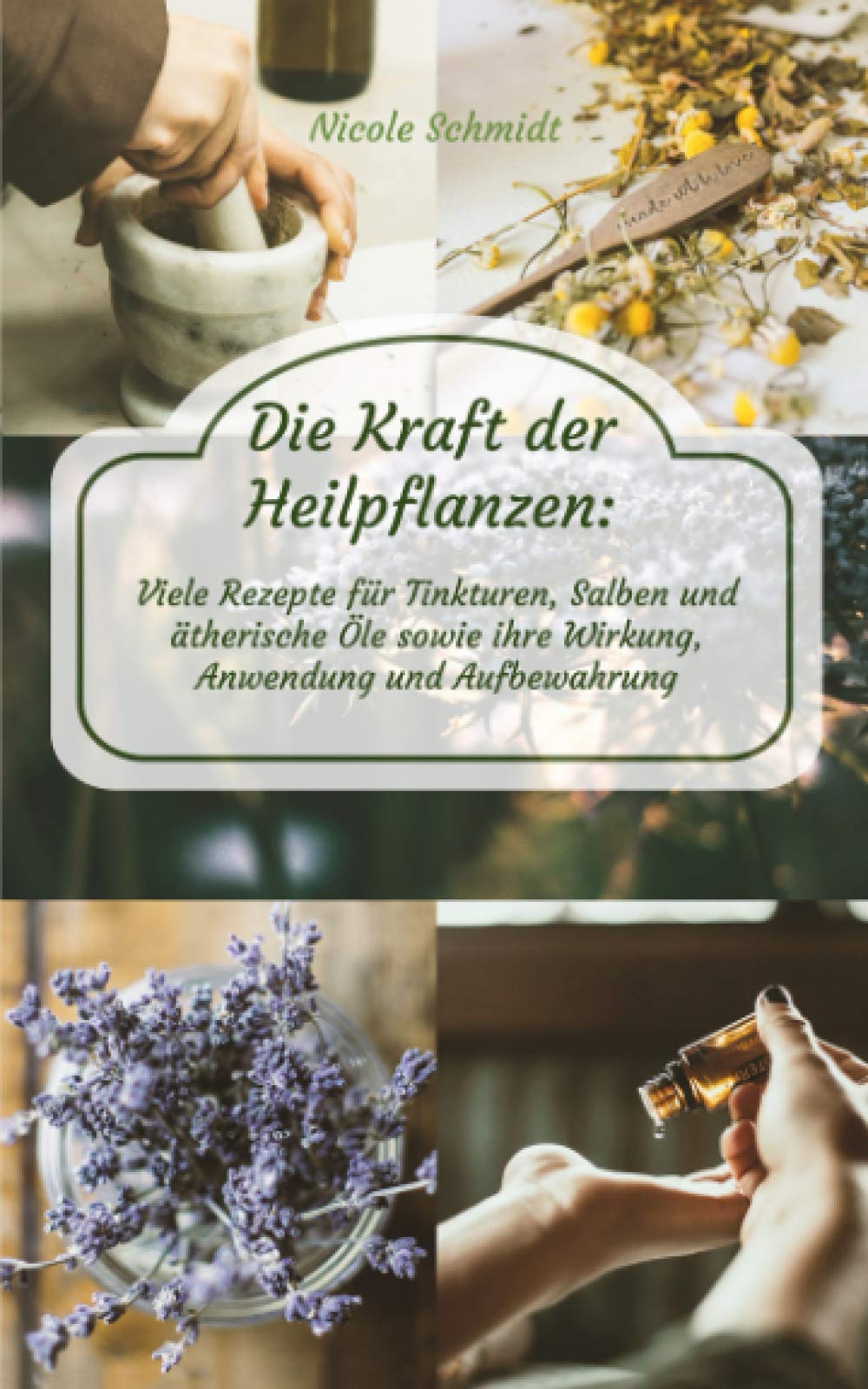 Die Kraft der Heilpflanzen: Viele Rezepte für Tinkturen, Salben und ätherische Öle sowie ihre Wirkung, Anwendung und Aufbewahrung Mathematics