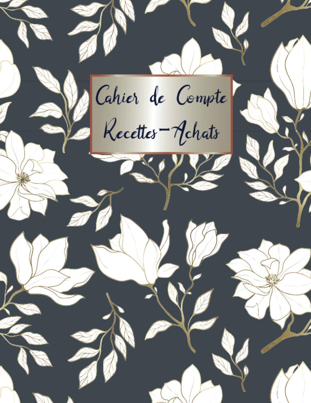 Cahier de compte: livre des recettes auto entrepreneur | Carnet de comptabilité | Recette-Achat | Registre de comptabilite | Journal comptable ... liberale | Grand Format large ,120 page Business, Finance & Career