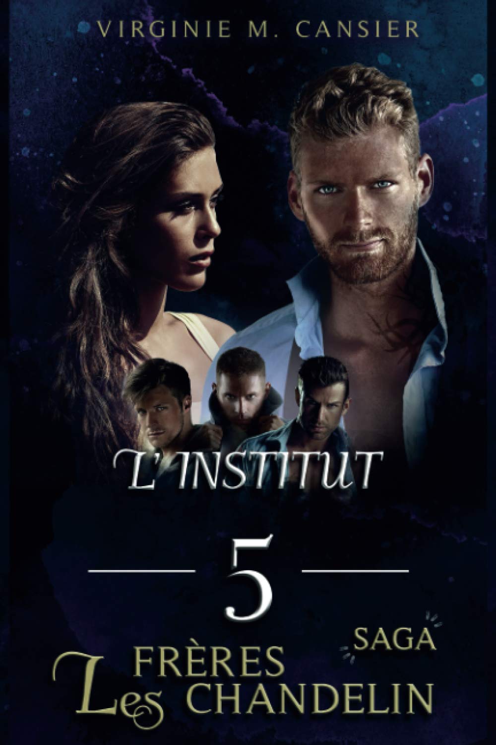 L'institut: Saga des frères Chandelin book
