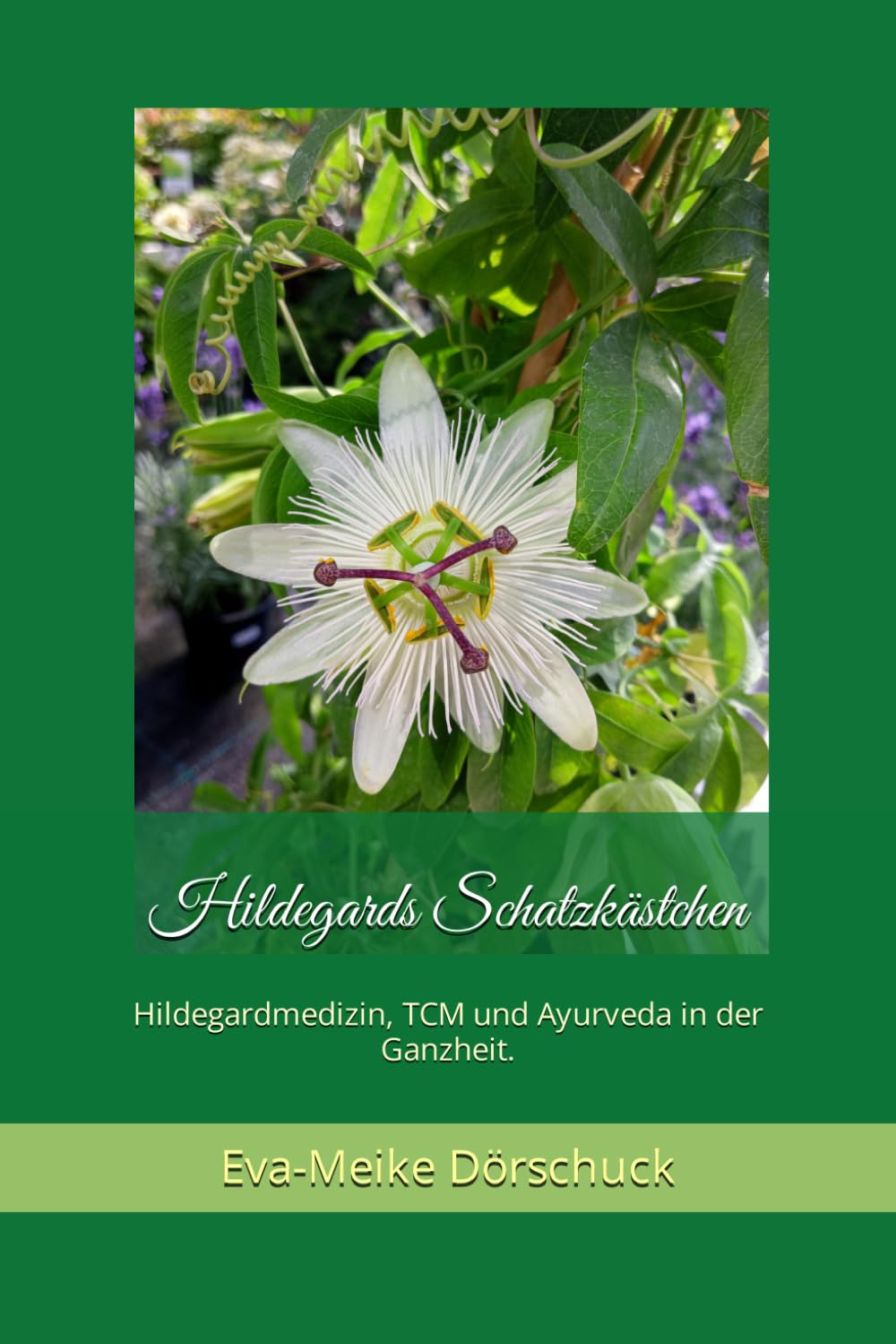 Hildegards Schatzkästchen: Hildegardmedizin, TCM und Ayurveda in der Ganzheit. Health, Nutrition & Fitness