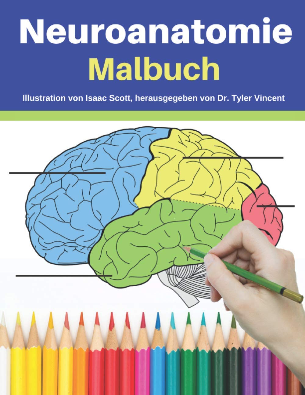 Neuroanatomie Malbuch: Das Malbuch des menschlichen Gehirns für Studenten (Neurowissenschaften Malbuch, Band 1) Medicine
