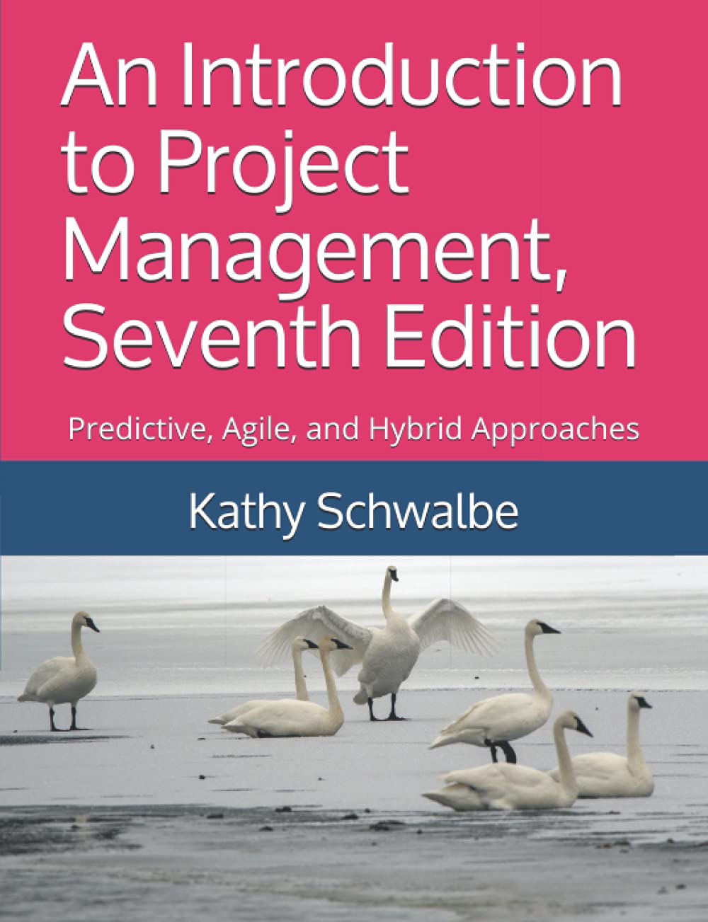 An Introduction to Project Management, Seventh Edition: Predictive, Agile, and Hybrid Approaches Business, Finance & Career