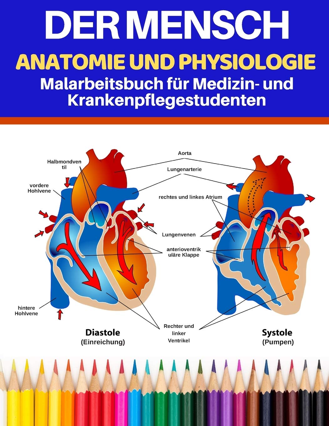 Der Mensch Anatomie und Physiologie Malarbeitsbuch für Medizin- und Krankenpflegestudenten: Lernen Sie Anatomie und Physiologie auf einfachste und ... Weise. (anatomie lernen durch malen, Band 1) Medicine