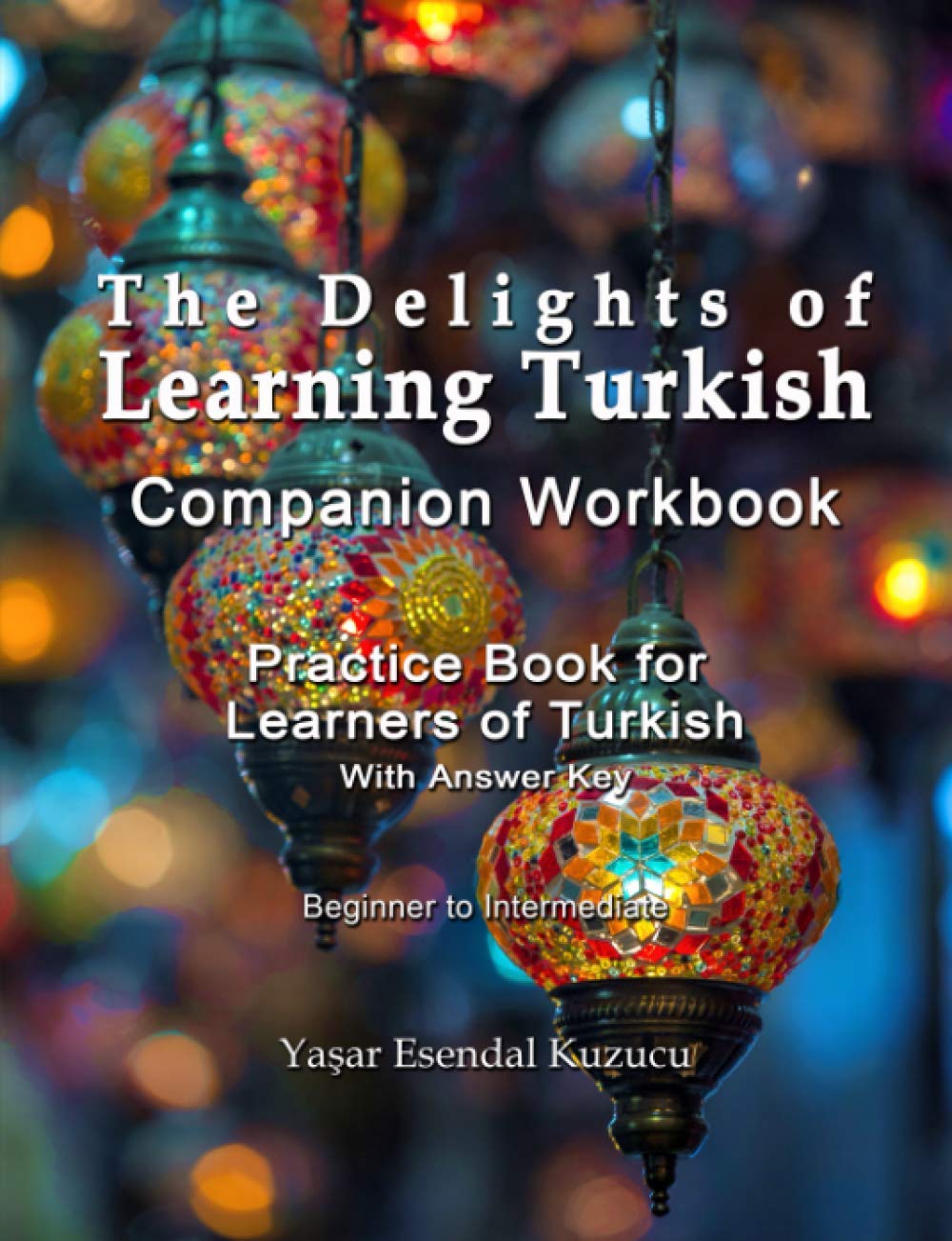 The Delights of Learning Turkish: Companion Workbook: Practice Book for Learners of Turkish Foreign Languages ​​& Dictionaries