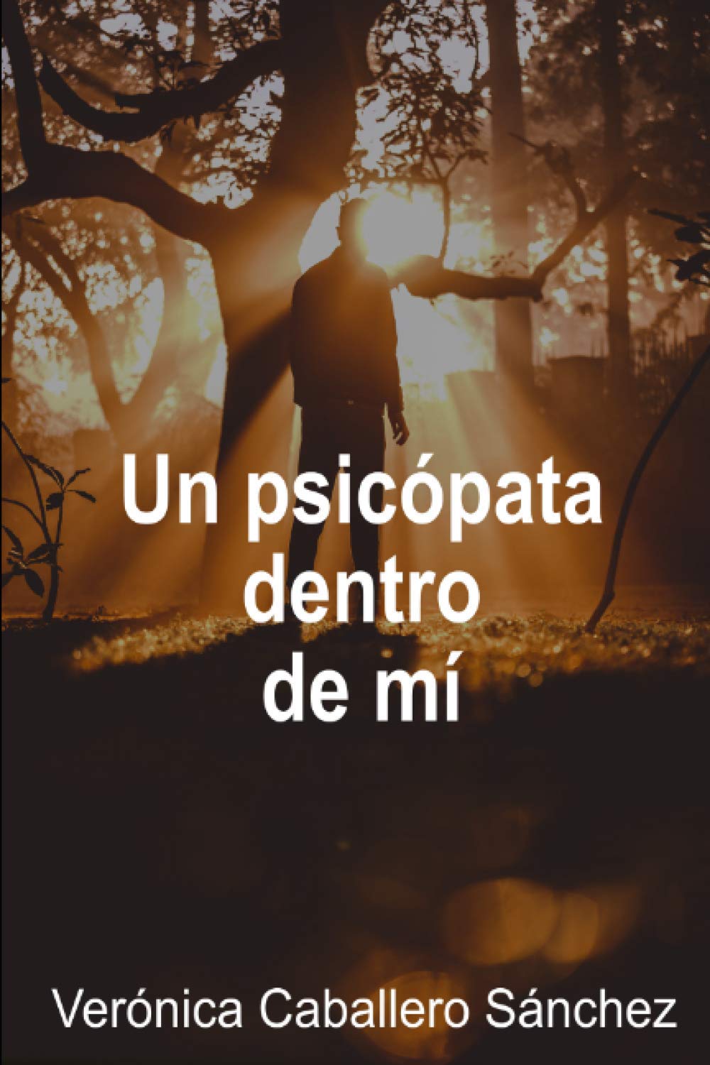 Un psicópata dentro de mí (El enigma) Contemporary literature