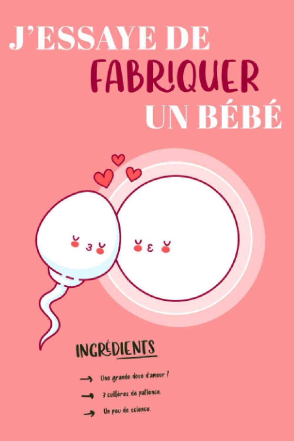 J'essaye de fabriquer un bébé: Carnet de suivi Fécondation In Vitro | Journal pour organiser et suivre tout les éléments importants de l'insémination artificielle | Format 15.24 x 22.86 cm Partnership & Love