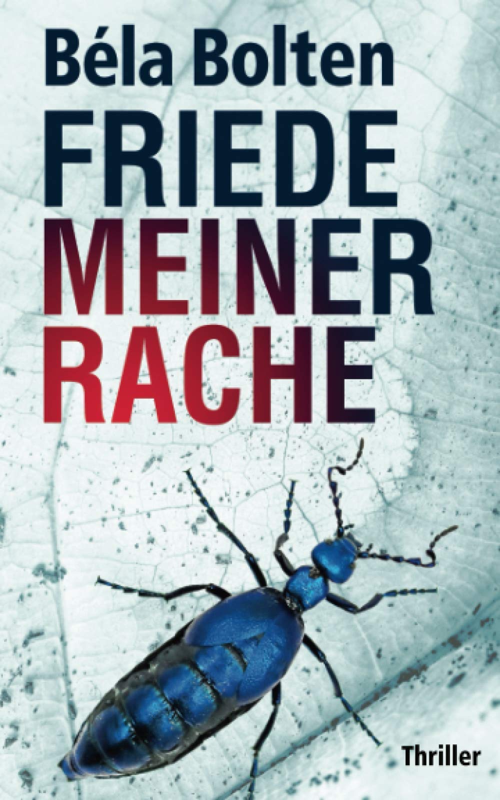 Friede meiner Rache: Thriller (Simon Wagners Fälle) Crime & Thrillers